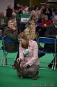 Crufts2011_2 693